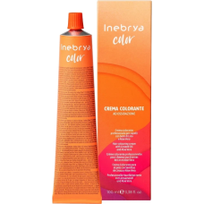 Крем-фарба для волосся Inebrya Color Linseed Oil and Aloe Vera 1/10 синьо-чорний 100 мл